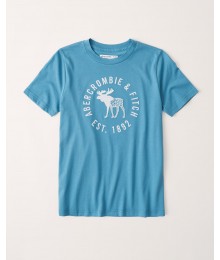 Abercrombie Light Blue Embroidered Logo Tee.